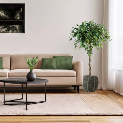 en situation SANSEVIERIA artificiel piquet ou sanseveria 35 cm sur une table basse dans un salon