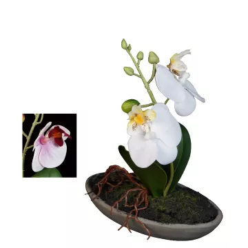 composition ORCHIDEE artificielle 18 cm
