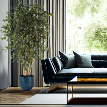 mis en situation FICUS artificiel EXOTICA multi tronc 180 à 240 cm