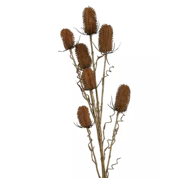 CHARDON artificiel 110 cm esprit sec