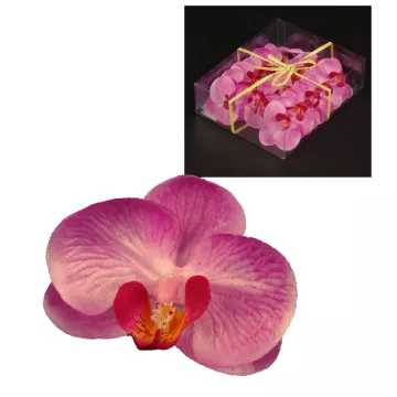 boite 18 fleurs PHALAENOPSIS rose