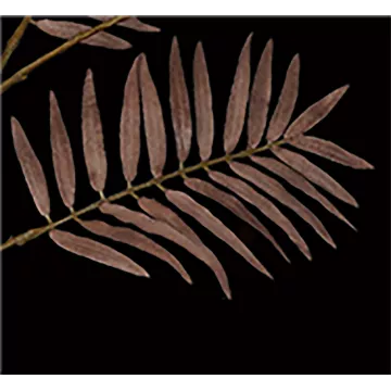 feuille tige de PARLOUR artificielle 120 cm marron
