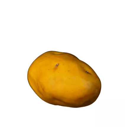 POMME DE TERRE artificielle 9 x 6.5 cm