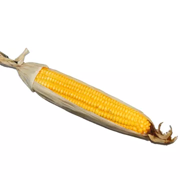 Maïs artificiel 42 cm