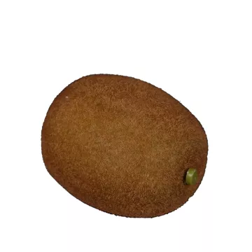 KIWI artificiel 7,5 cm