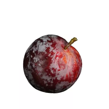 PRUNE artificielle 7,5 cm