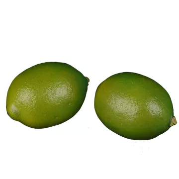 CITRONS VERTS artificiels x2