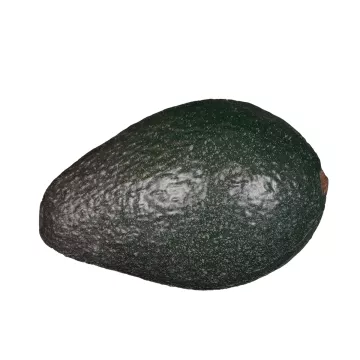 AVOCAT artificiel 10,5 cm