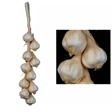 Tresse d'ail artificiel 50 cm