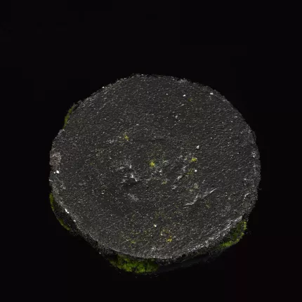 dos MOTTE de terre et mousse artificielle 3 tailles de 9 à 21 cm