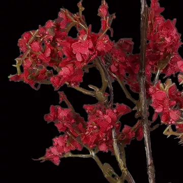 fleurs Limonium artificiel ou statice artificiel esprit séché 37 cm rouge