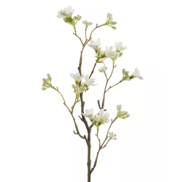 Hepacodium artificiel ou seven sons blanc H52cm
