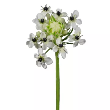 ornithogalum arabicum ou étoile de béthléem artificiel 72 cm