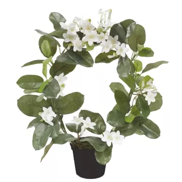 STEPHANOTIS artificiel en pot 43 cm
