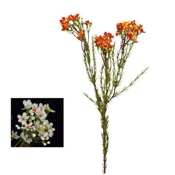 WAX artificiel ou fleur de cire 78 cm