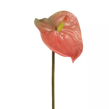 ANTHURIUM artificiel 69 cm