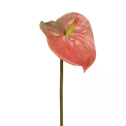 ANTHURIUM artificiel 69 cm