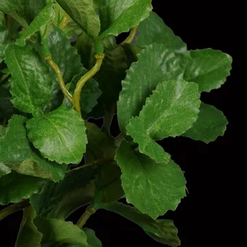 feuilles plant MELISSE artificielle 25 cm