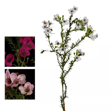 WAX artificiel ou fleur de cire 65 cm