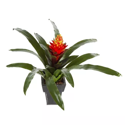 BROMELIA artificiel ou Guzmania Conifera 50 cm