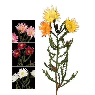 PHAENOCOMA artificiel 61 cm