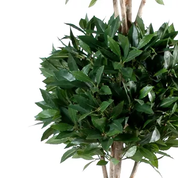 feuilles LAURIER artificiel TROIS BOULES  140 et 170 cm