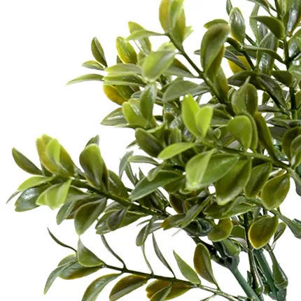 feuilles BUIS artificiel NEW SPRAY 40 cm