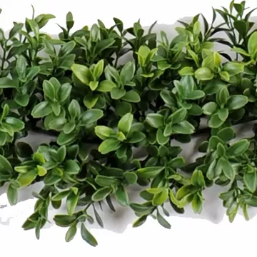 feuilles Guirlande de buis artificiel 180 cm de près