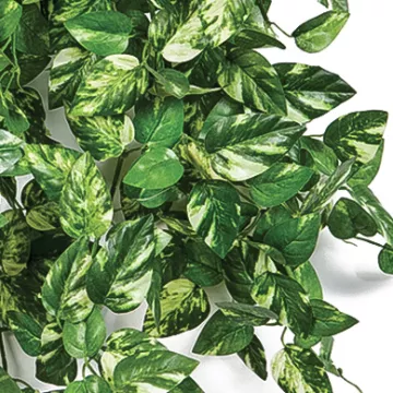feuilles POTHOS mini artificiel 50 cm