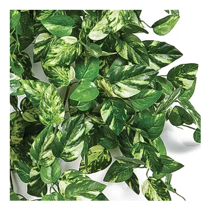 feuilles POTHOS mini artificiel 50 cm