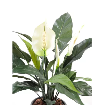 fleurs et bouton SPATHIPHYLLUM artificiel  2 fleurs 1 bouton 52 cm