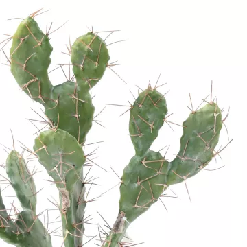 épines CACTUS artificiel 60 cm