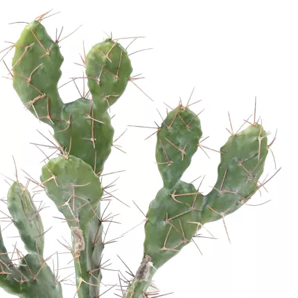 épines CACTUS artificiel 60 cm