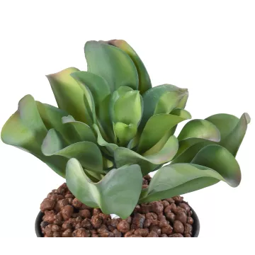 SUCCULENTE artificielle 20 cm