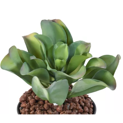 SUCCULENTE artificielle 20 cm