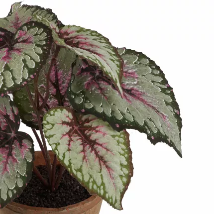 BEGONIA artificiel en pot 26 cm