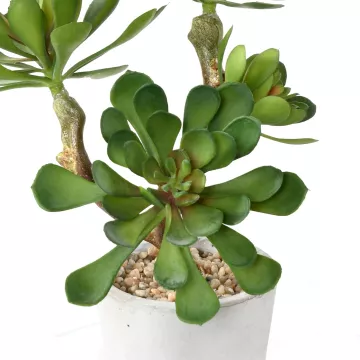 détails SUCCULENTES artificielles  30 cm en pot