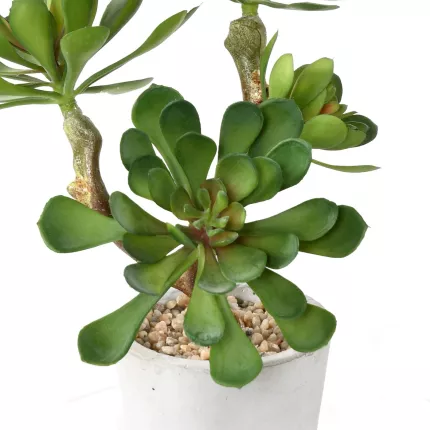 détails SUCCULENTES artificielles  30 cm en pot