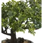 feuilles BONSAI artificiel en pot 17 cm