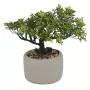 BONSAI artificiel en pot 17 cm