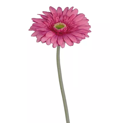 GERBERA artificiel fushia 64 cm avec sa tige