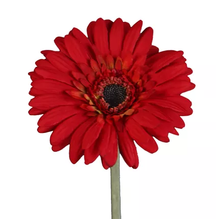 GERBERA artificiel rouge 64 cm
