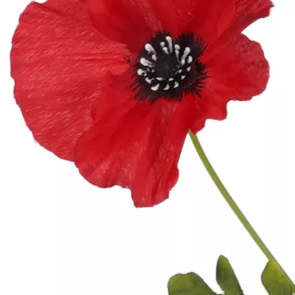 fleur COQUELICOT artificiel 3 fleurons 65 cm rouge