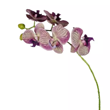PHALAENOPSIS artificielle tombante  66 cm
