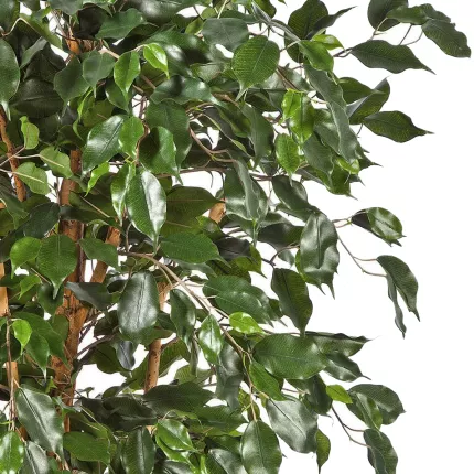 feuilles FICUS artificiel NITIDA exotica 150 à 210 cm