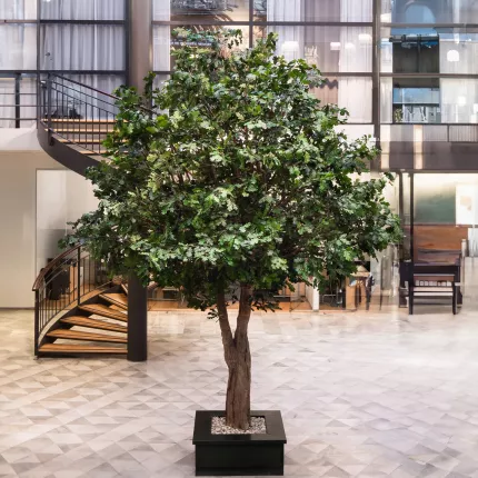 CHENE N géant artificiel dans une entrée