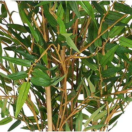 feuilles BAMBOU artificiel ORIENTAL NEW 90 à 280 cm