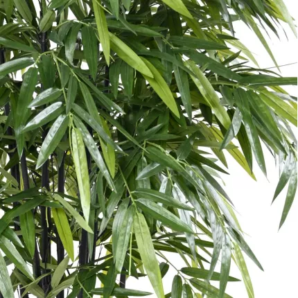 feuilles BAMBOU artificiel BLACK NATURAL 150 à 270 cm