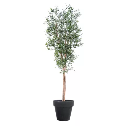 OLIVIER artificiel new large 210 cm en pot