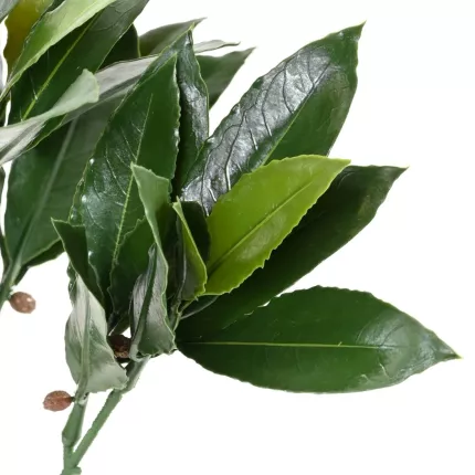 feuilles branche LAURIER nobilis artificielle plast 50 cm